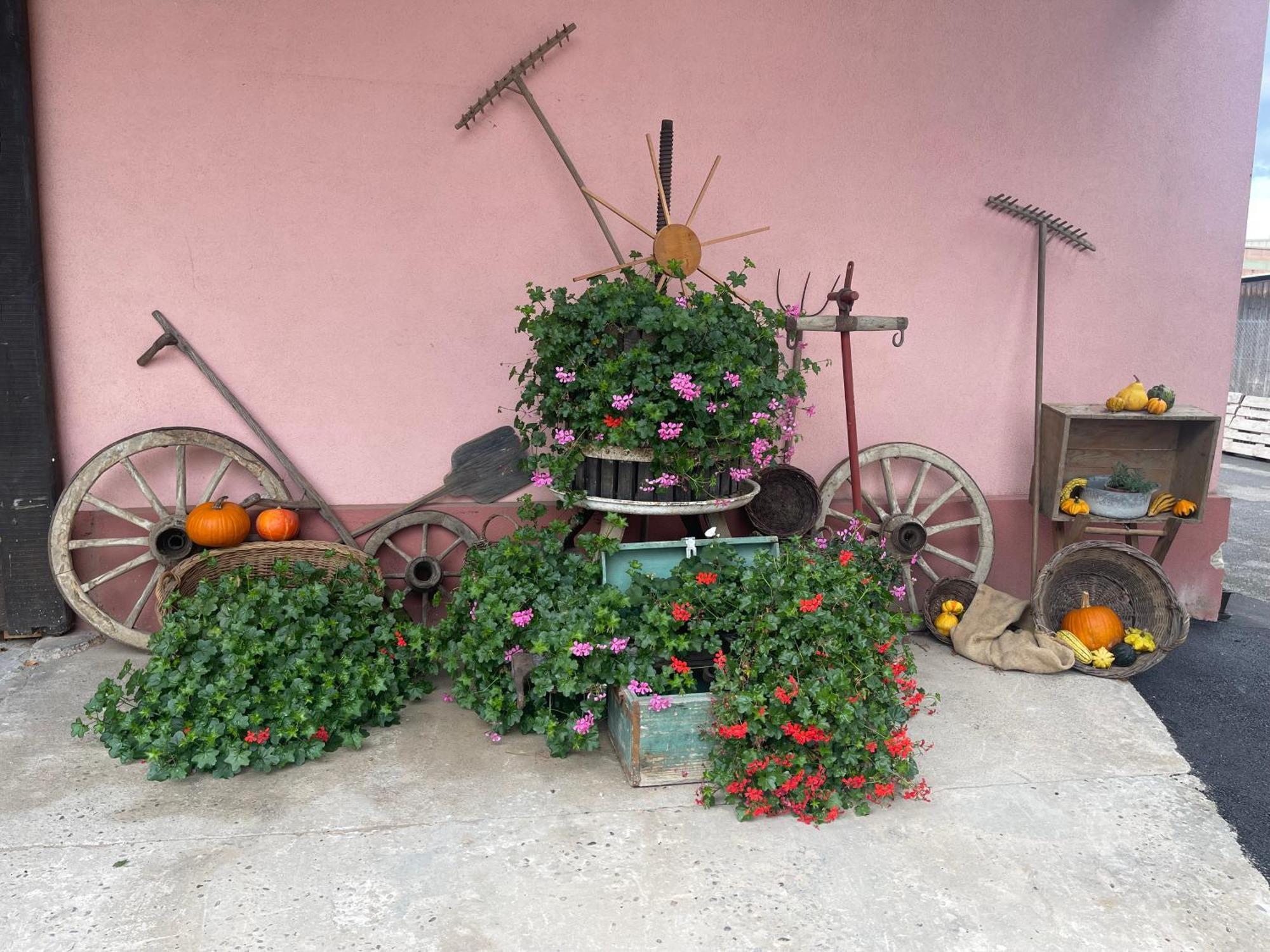 Les Loges De Marianne, Gites D'Exception Proche Europapark Schoenau Buitenkant foto
